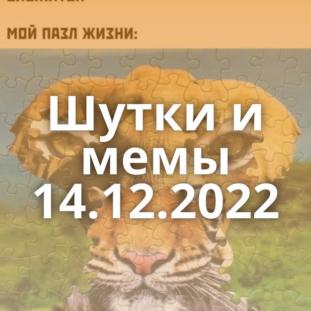 Шутки и мемы 14.12.2022