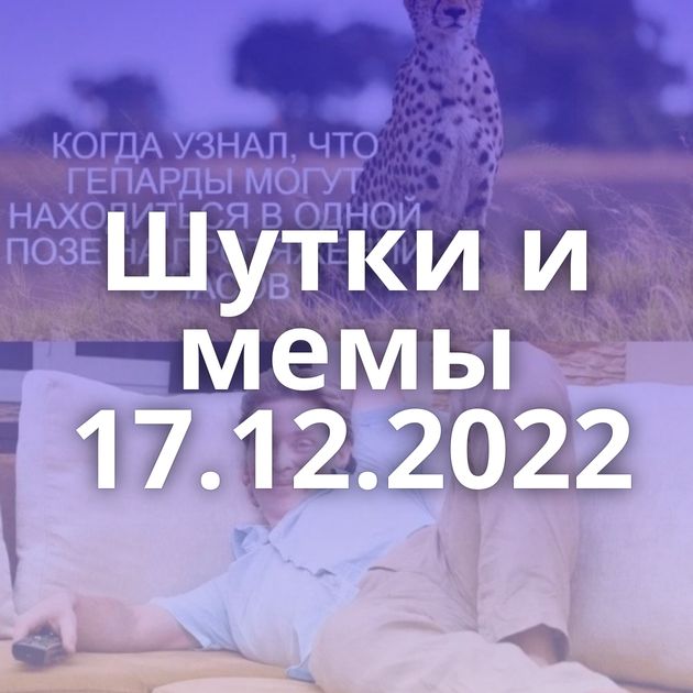 Шутки и мемы 17.12.2022