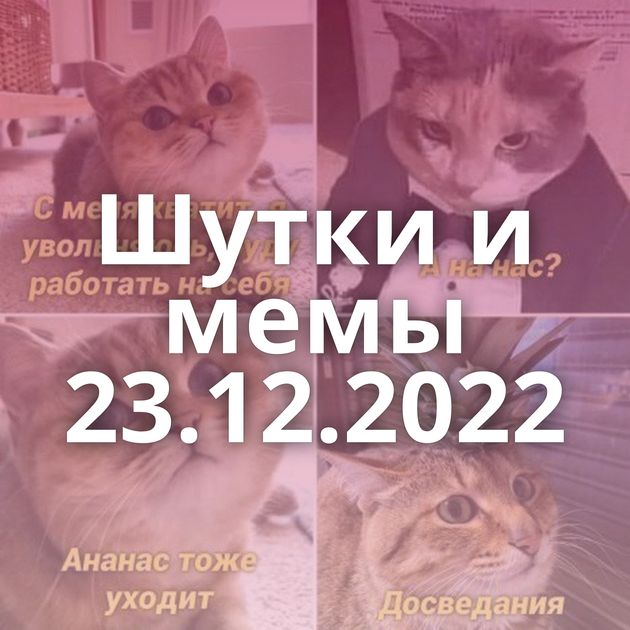 Шутки и мемы 23.12.2022