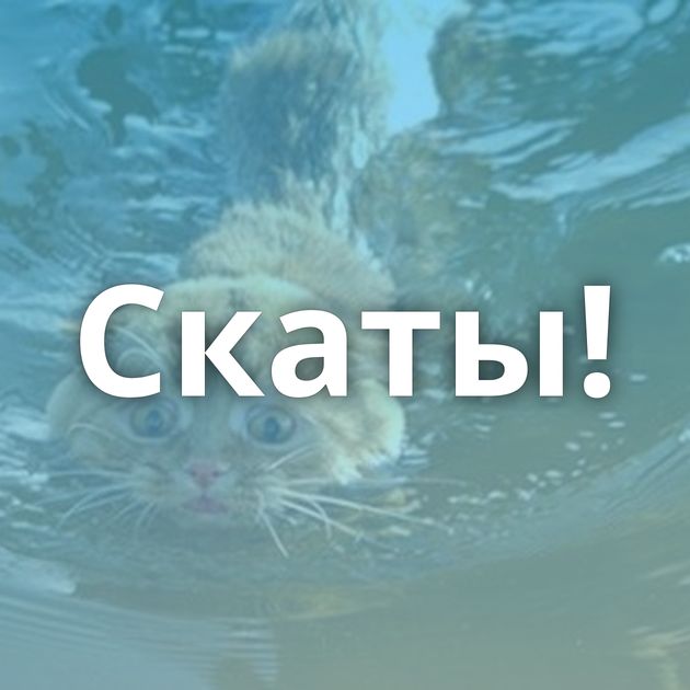 Скаты!