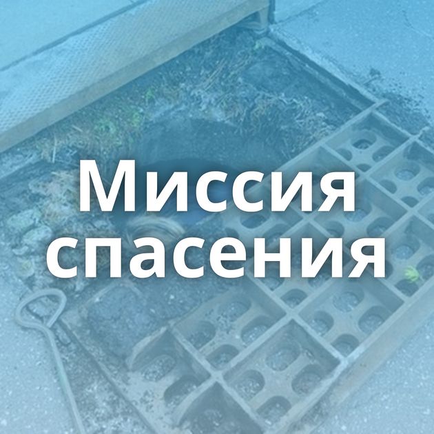 Миссия спасения