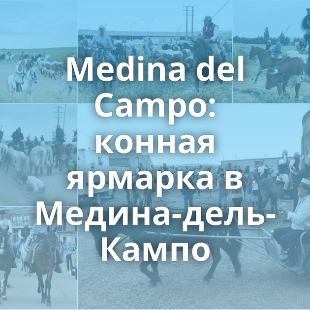 Medina del Campo: конная ярмарка в Медина-дель-Кампо