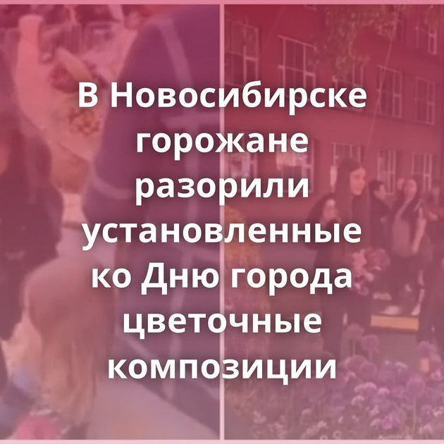 В Новосибирске горожане разорили установленные ко Дню города цветочные композиции