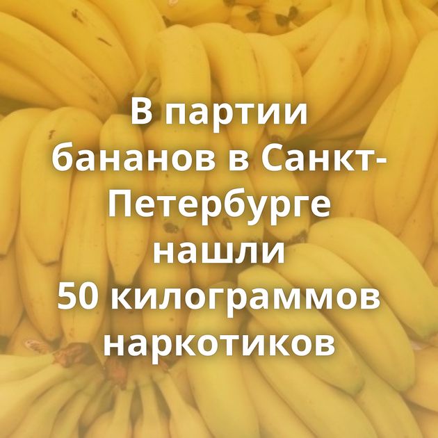 В партии бананов в Санкт-Петербурге нашли 50 килограммов наркотиков