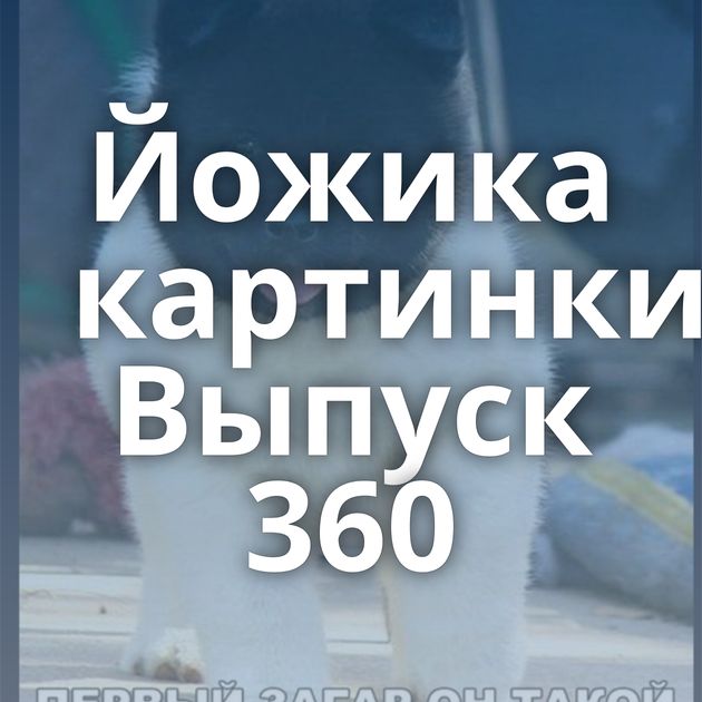 Йожика картинки Выпуск 360