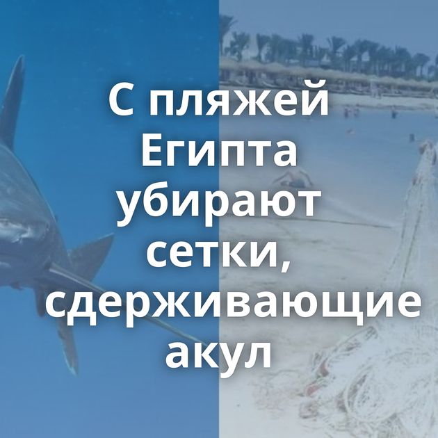 С пляжей Египта убирают сетки, сдерживающие акул