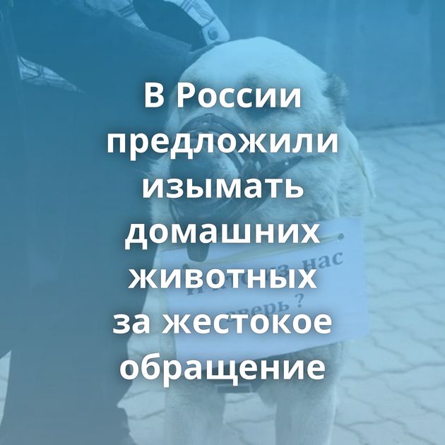В России предложили изымать домашних животных за жестокое обращение