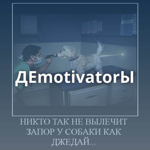 ДЕmotivatorЫ