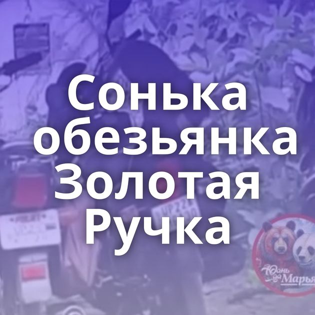 Сонька обезьянка Золотая Ручка