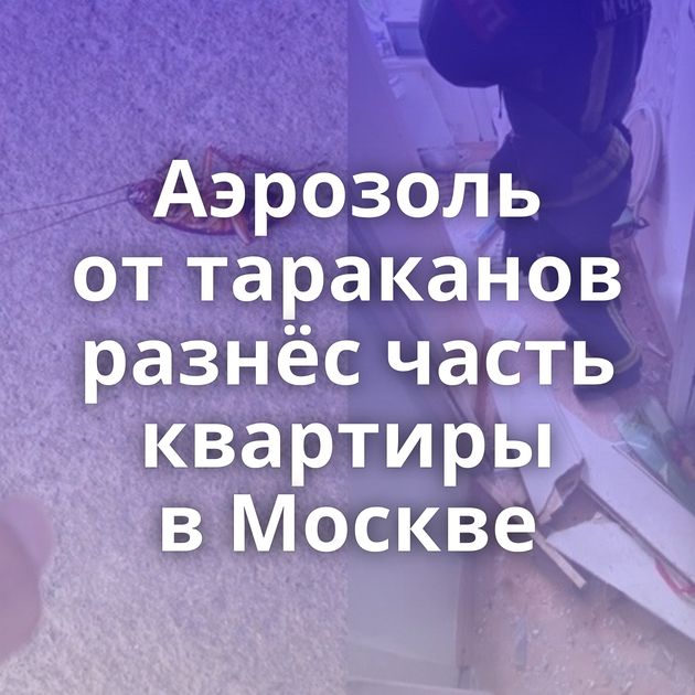 Аэрозоль от тараканов разнёс часть квартиры в Москве