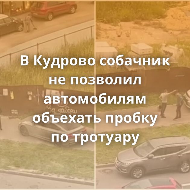 В Кудрово собачник не позволил автомобилям объехать пробку по тротуару