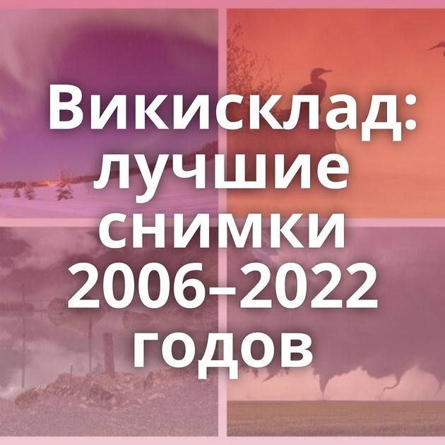 Викисклад: лучшие снимки 2006–2022 годов