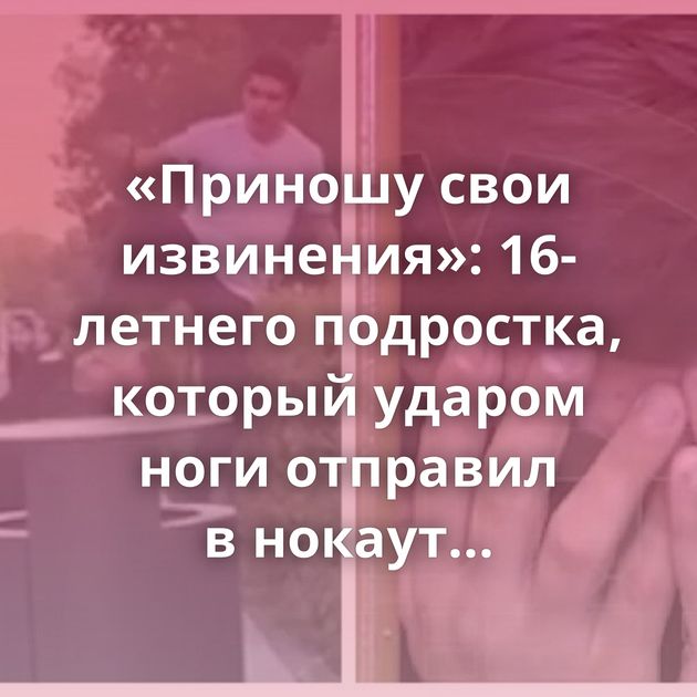 «Приношу свои извинения»: 16-летнего подростка, который ударом ноги отправил в нокаут москвича, задержали…