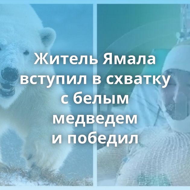 Житель Ямала вступил в схватку с белым медведем и победил
