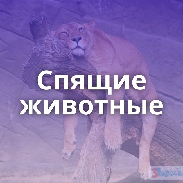 Спящие животные