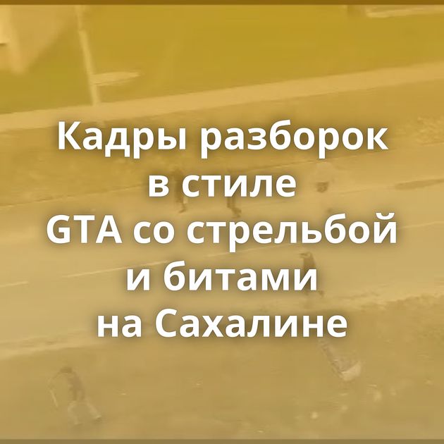 Кадры разборок в стиле GTA со стрельбой и битами на Сахалине