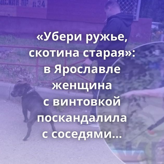 «Убери ружье, скотина старая»: в Ярославле женщина с винтовкой поскандалила с соседями из-за собак