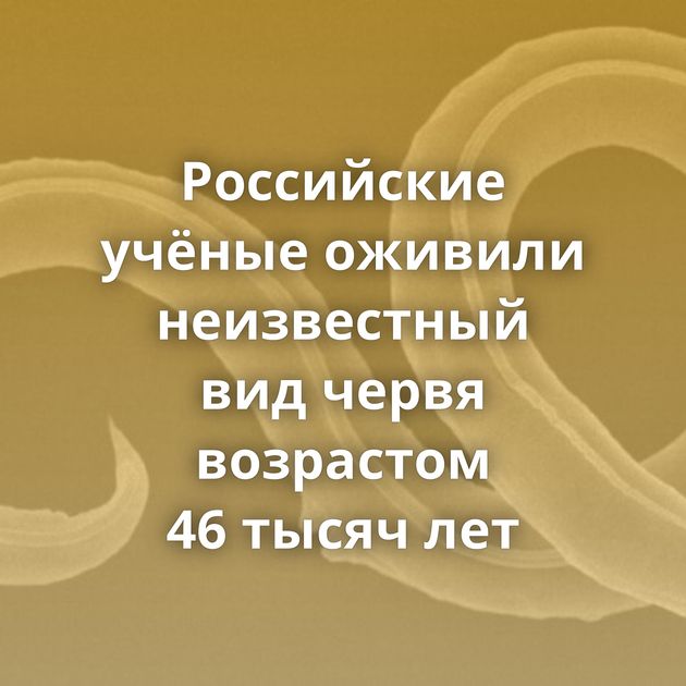 Российские учёные оживили неизвестный вид червя возрастом 46 тысяч лет