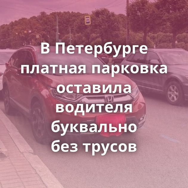 В Петербурге платная парковка оставила водителя буквально без трусов