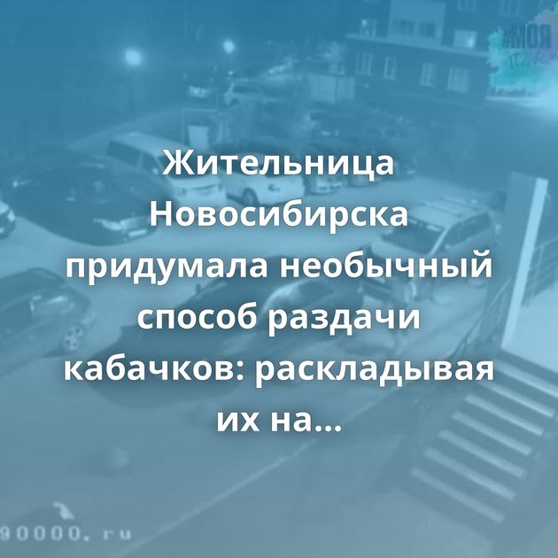 Жительница Новосибирска придумала необычный способ раздачи кабачков: раскладывая их на чужие авто