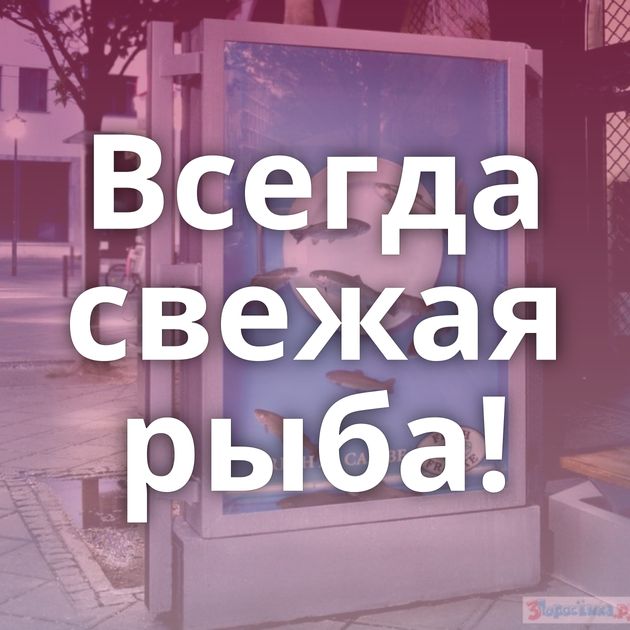 Всегда свежая рыба!