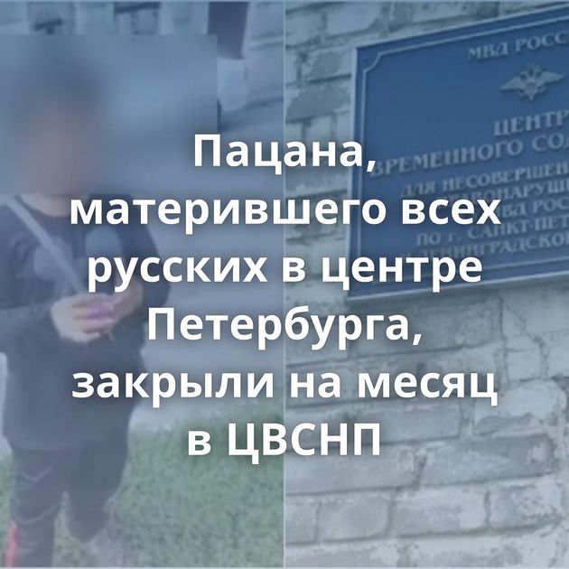 Пацана, матерившего всех русских в центре Петербурга, закрыли на месяц в ЦВСНП