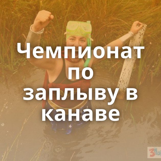 Чемпионат по заплыву в канаве