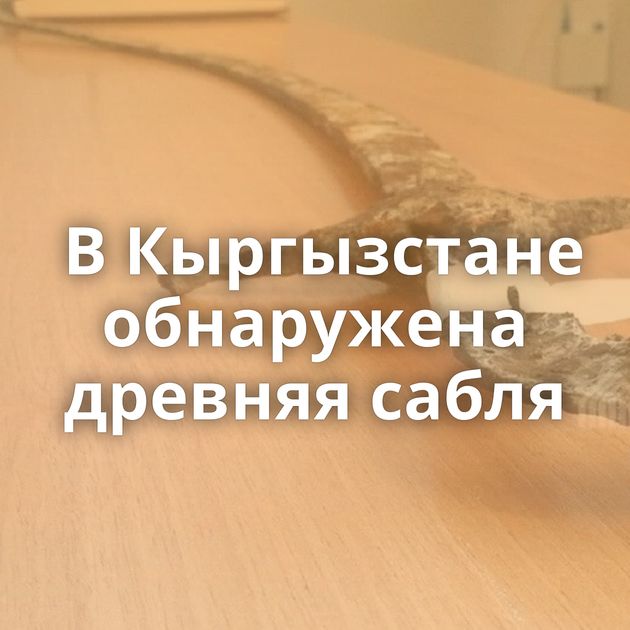 В Кыргызстане обнаружена древняя сабля