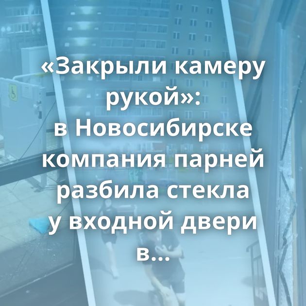 «Закрыли камеру рукой»: в Новосибирске компания парней разбила стекла у входной двери в подъезд
