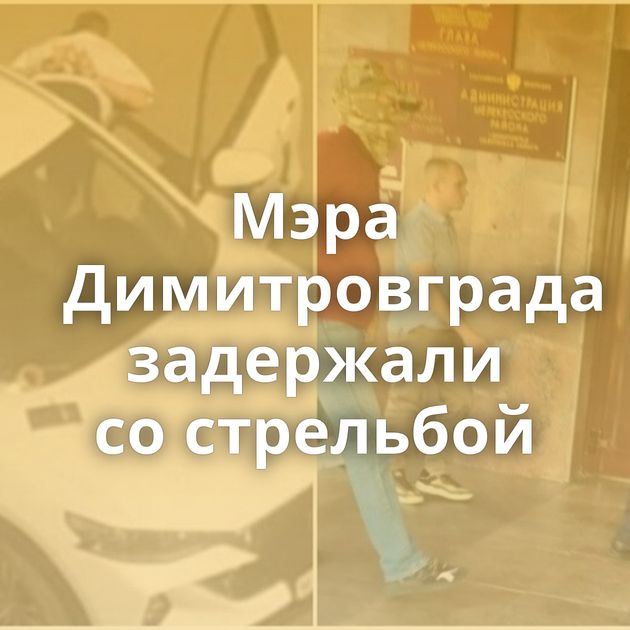 Мэра Димитровграда задержали со стрельбой