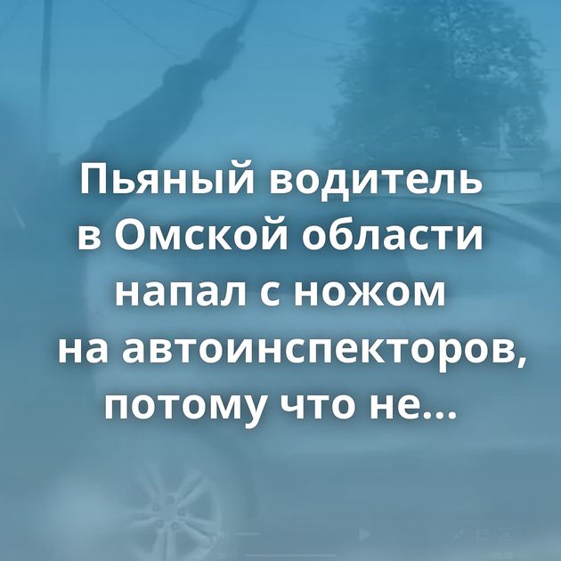 Пьяный водитель в Омской области напал с ножом на автоинспекторов, потому что не согласился с протоколом