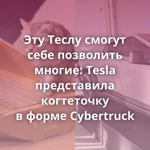 Эту Теслу смогут себе позволить многие: Tesla представила когтеточку в форме Cybertruck