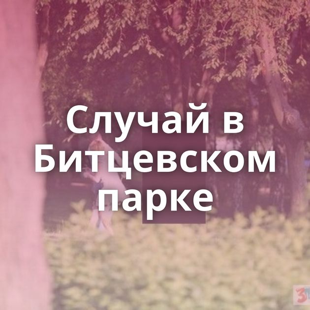 Случай в Битцевском парке