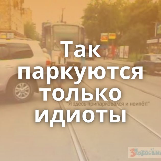 Так паркуются только идиоты