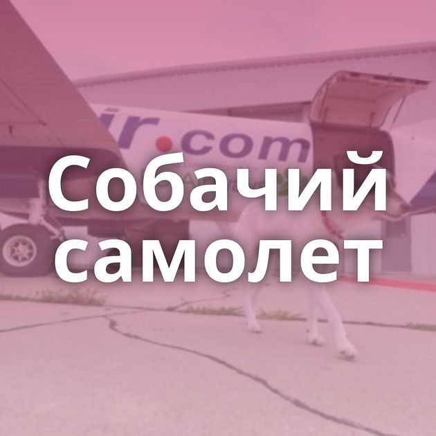Собачий самолет