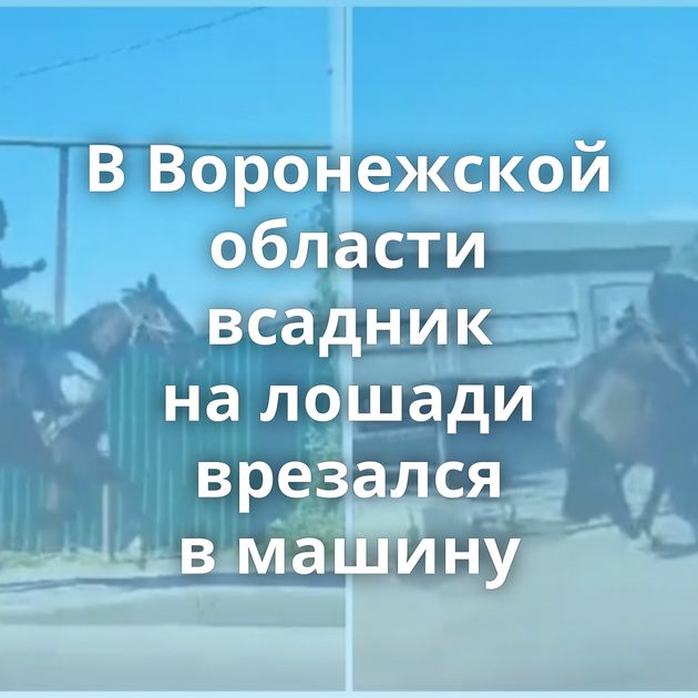 В Воронежской области всадник на лошади врезался в машину