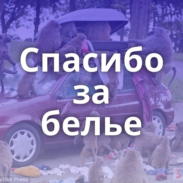 Спасибо за белье