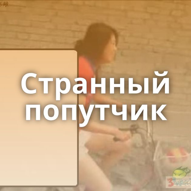 Странный попутчик