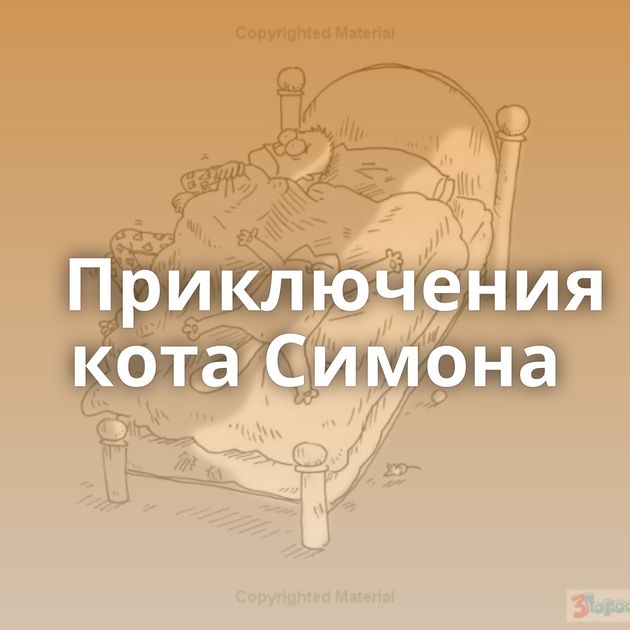 Приключения кота Симона