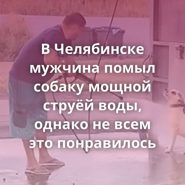 В Челябинске мужчина помыл собаку мощной струёй воды, однако не всем это понравилось