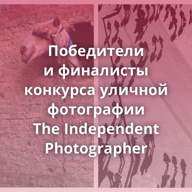 Победители и финалисты конкурса уличной фотографии The Independent Photographer