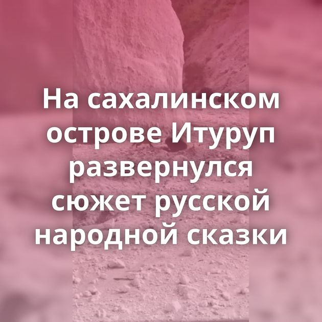 На сахалинском острове Итуруп развернулся сюжет русской народной сказки