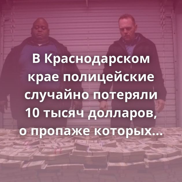 В Краснодарском крае полицейские случайно потеряли 10 тысяч долларов, о пропаже которых рассказала…