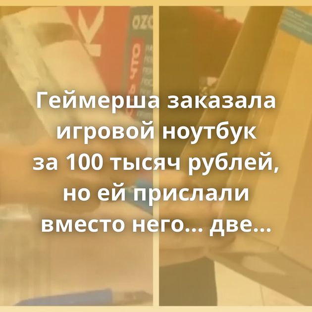 Геймерша заказала игровой ноутбук за 100 тысяч рублей, но ей прислали вместо него… две доски