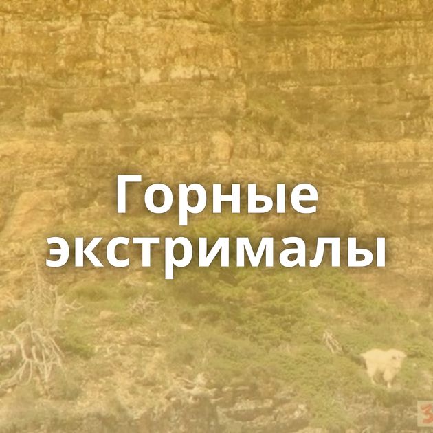 Горные экстрималы