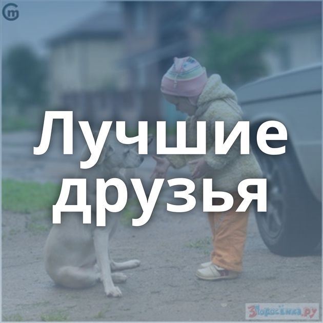 Лучшие друзья