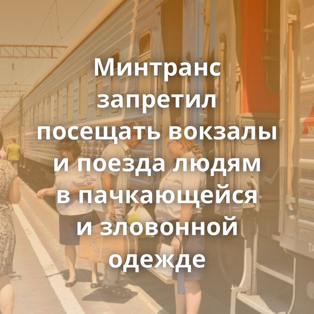 Минтранс запретил посещать вокзалы и поезда людям в пачкающейся и зловонной одежде