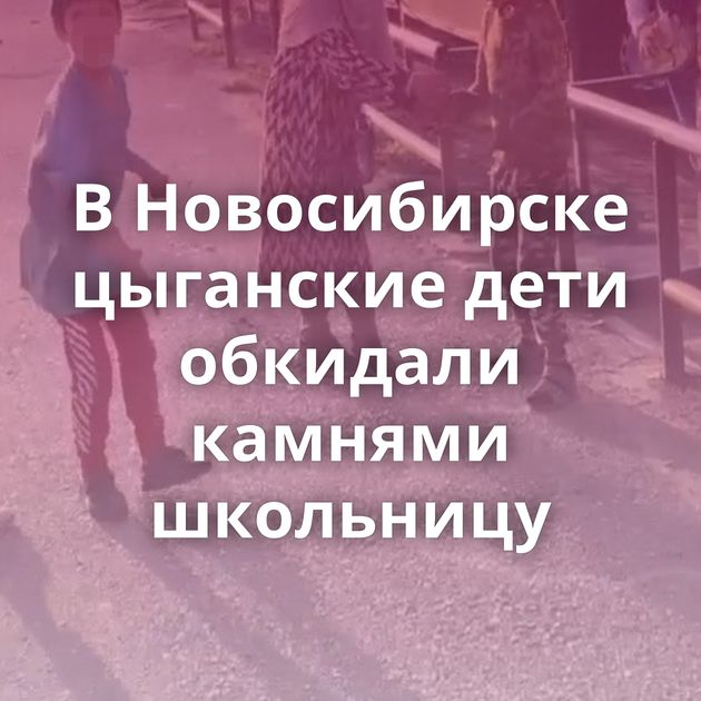 В Новосибирске цыганские дети обкидали камнями школьницу