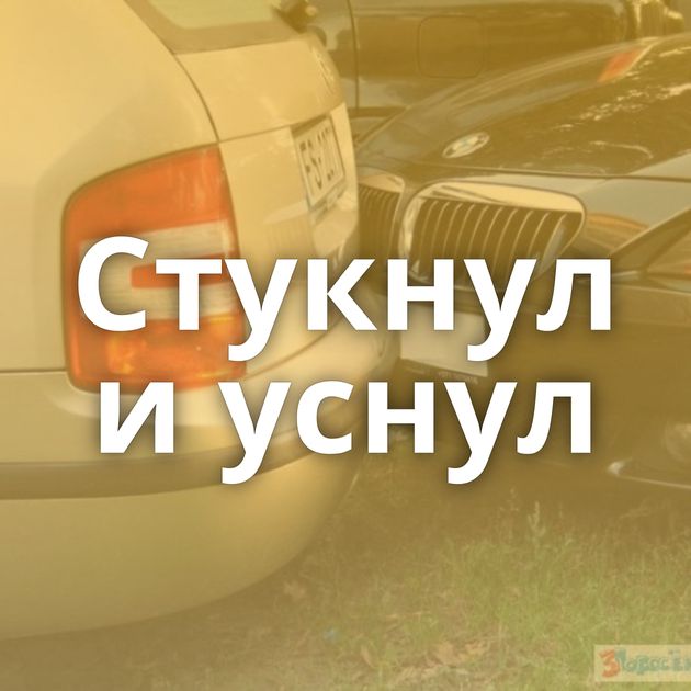 Стукнул и уснул