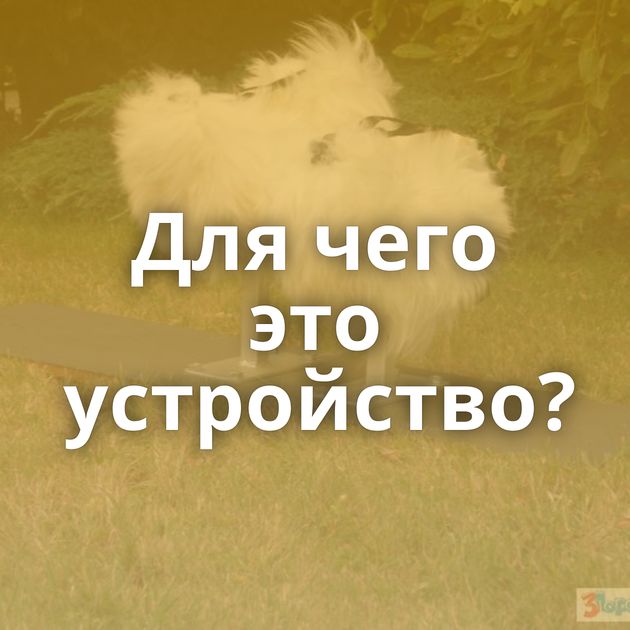 Для чего это устройство?